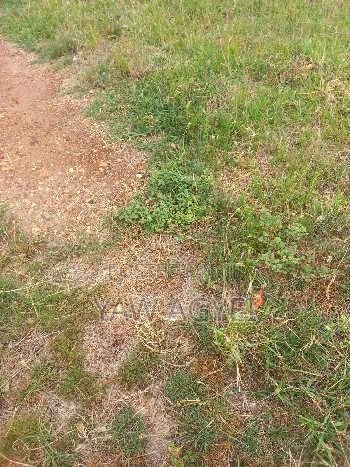 Land for Sale at Dodowa Behind Forest Hotel