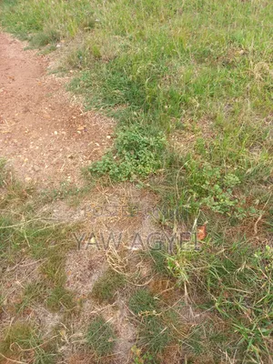 Land for Sale at Dodowa Behind Forest Hotel