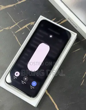Apple iPhone 15 Pro Max 256 GB Silver