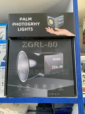 ZGRL-80 Palm Photography Light