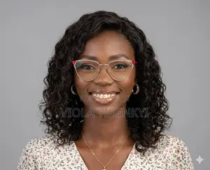 Virtual Personal Assistant/Secretary