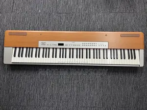 Yamaha P-120