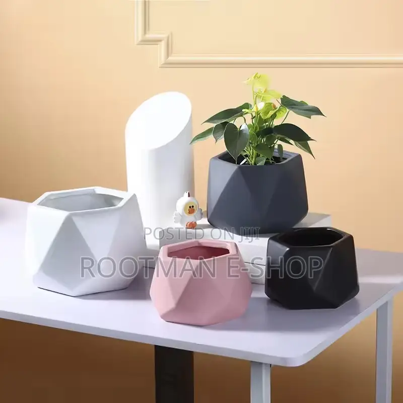 Modern Geometric Ceramic Pots
