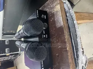 Shure SLX -D4 Dual Professional Microphone