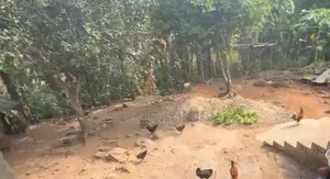 Land at Kokonduru Aburi Jankama