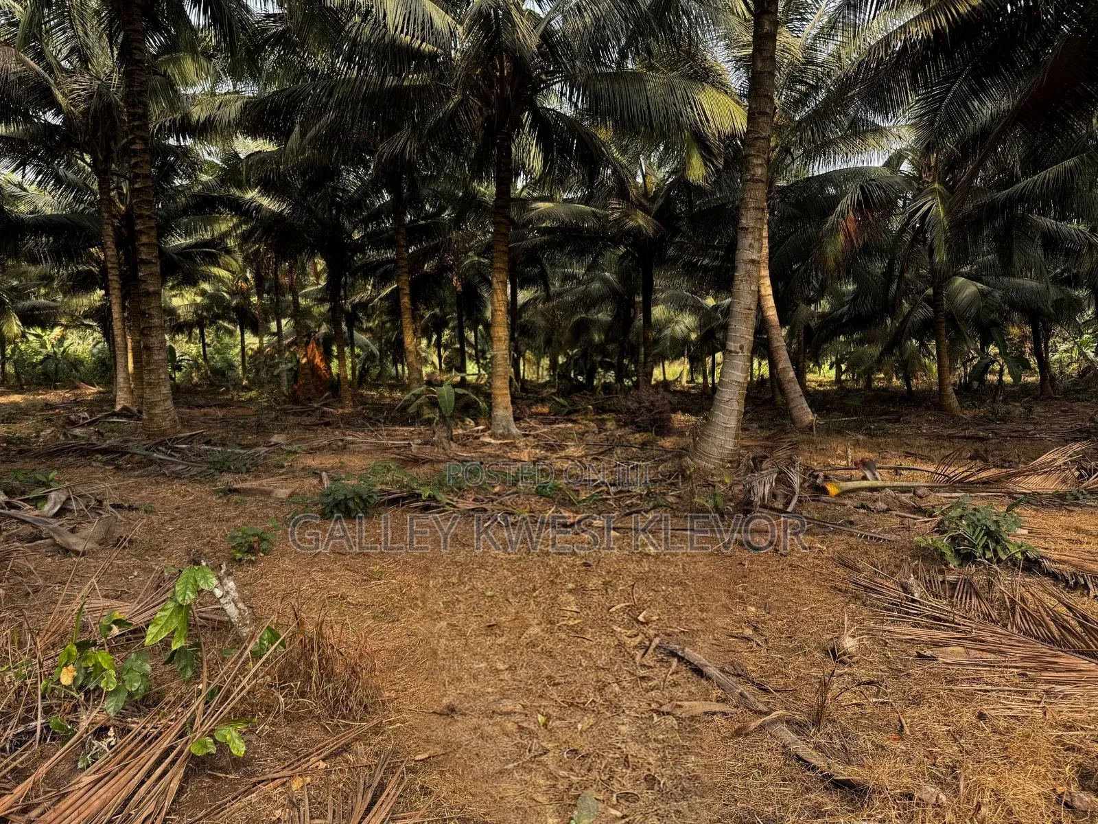 Land at Kokonduru Aburi Jankama