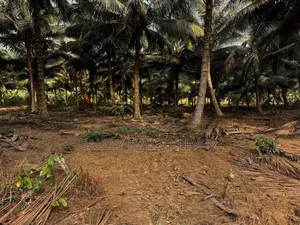 Land at Kokonduru Aburi Jankama