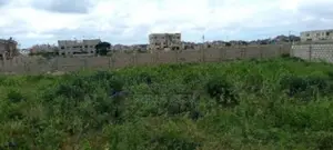 Prime Land