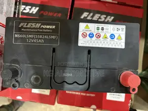 Ns60lmf 45ah
