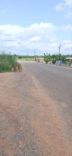 Roadside 2 Plots of Land for Sale at Tech Appiadu Near Knust Campus