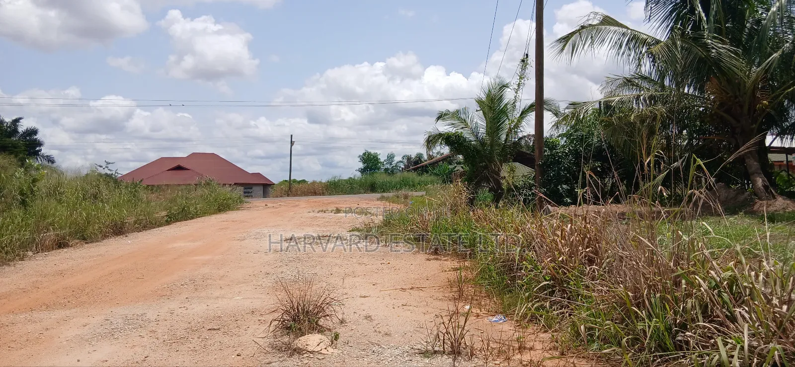 Roadside 2 Plots of Land for Sale at Tech Appiadu Near Knust Campus