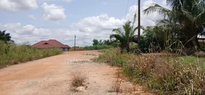 Roadside 2 Plots of Land for Sale at Tech Appiadu Near Knust Campus