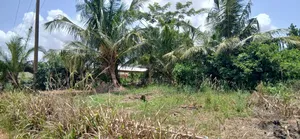 Roadside 2 Plots of Land for Sale at Tech Appiadu Near Knust Campus