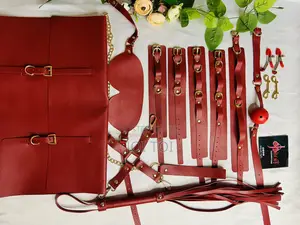 All-in-One BDSM Kit