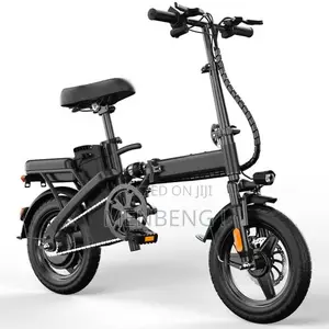 Electric Bike