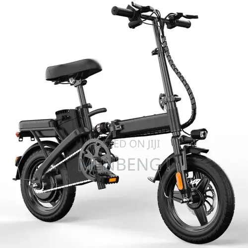 Electric Bike
