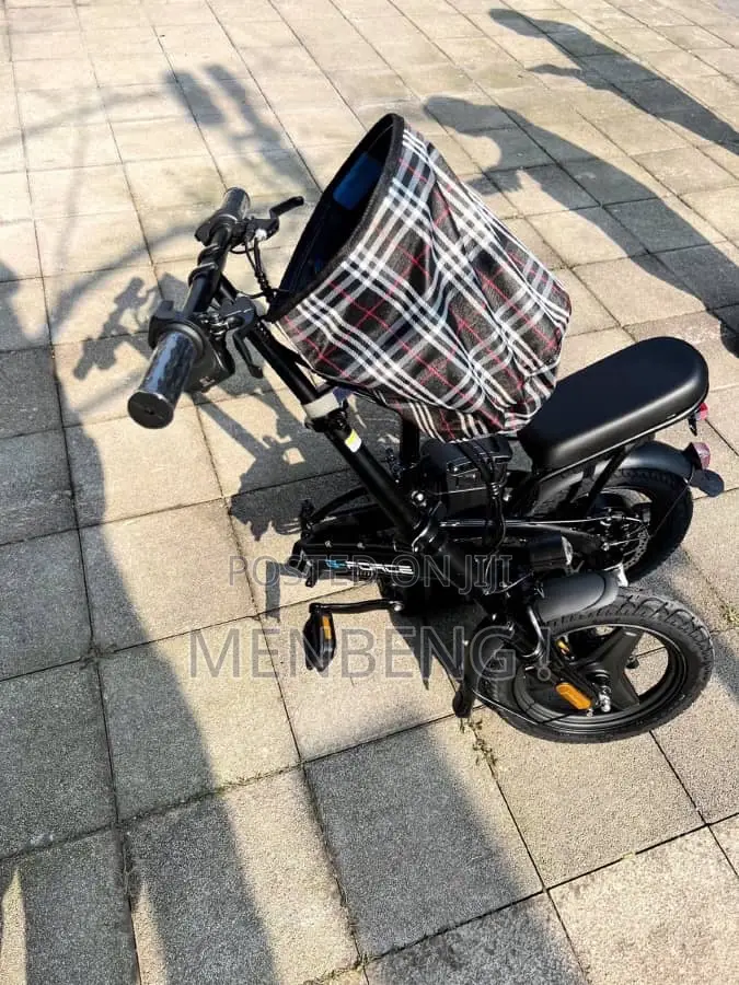 Electric Bike