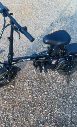Electric Bike