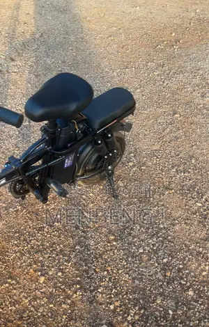 Electric Bike