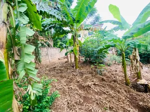 One Plot of Land for Sale at Westland
