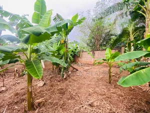One Plot of Land for Sale at Westland