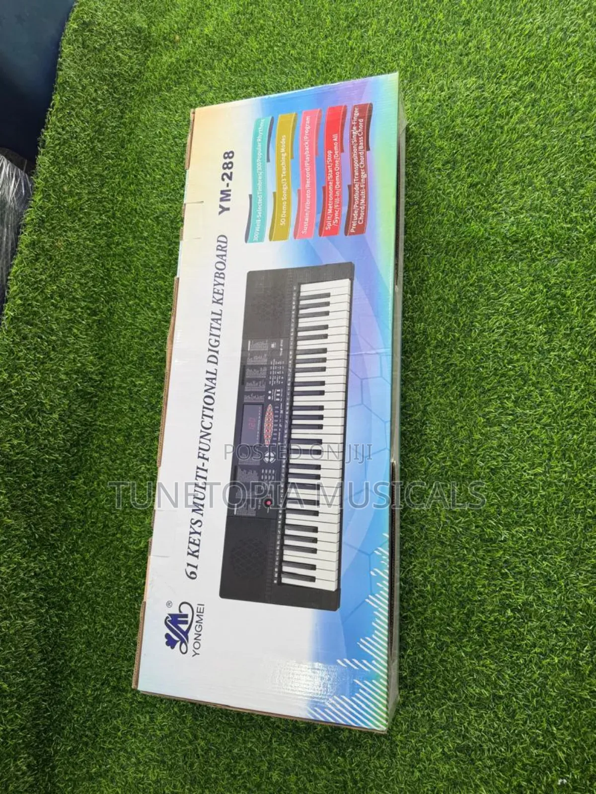 Yongmei Ym-288 Multi-Functional Digital Teaching Keyboard With 61 Keys