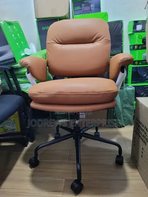 Oraimo Softnest Double-Layer Cushioning Office Chair
