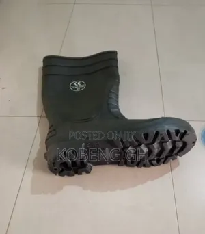 Rain Boot Or Wellington Boot