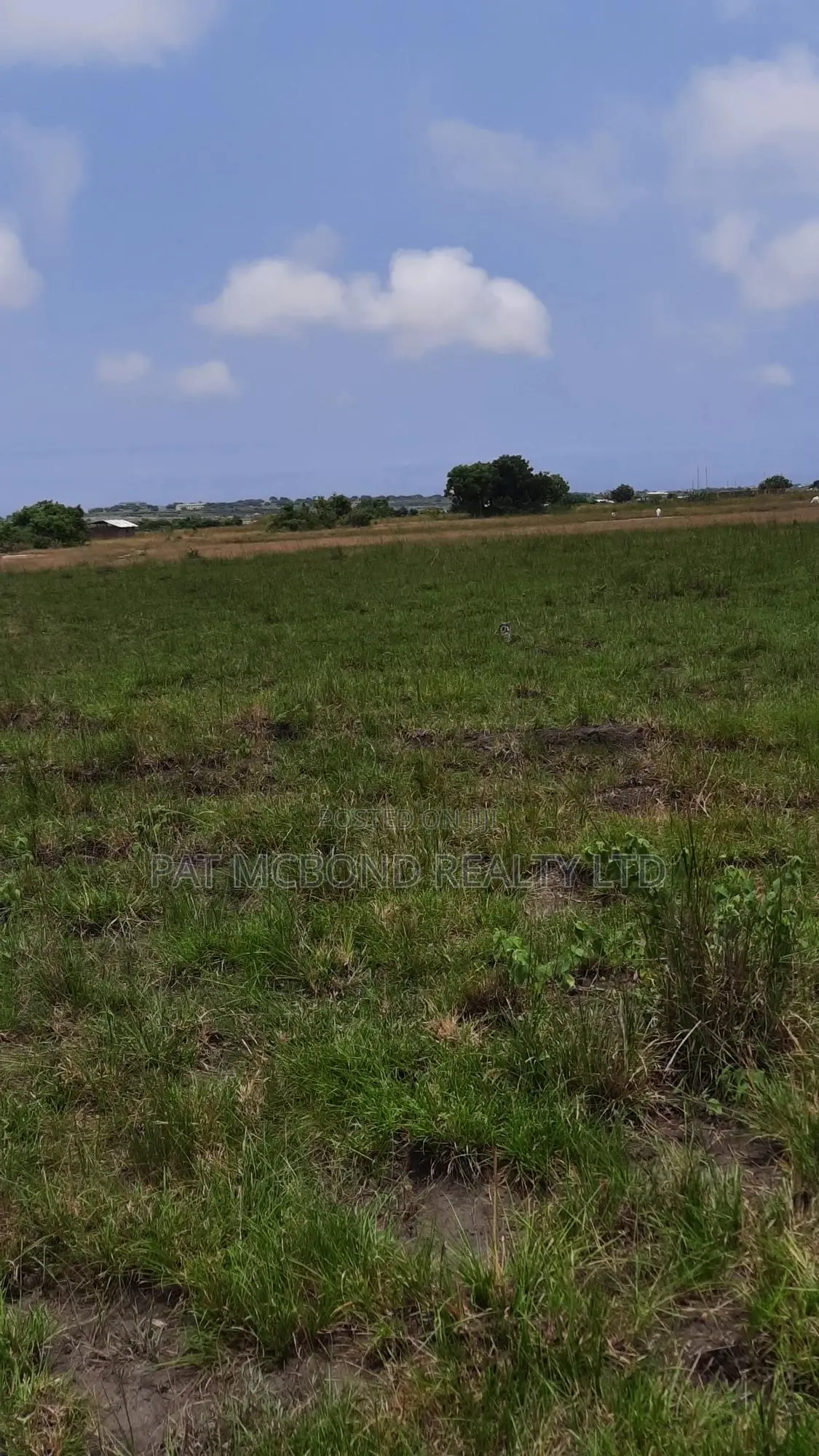 Legally Approved Land at Bueko