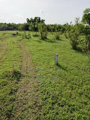 Over 400 Acres of Demarcated Lands Afienya Main Road Side for Sale