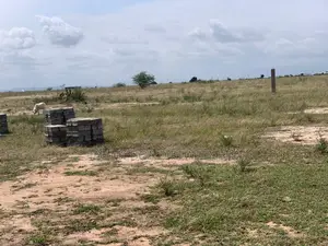Land for Sale in Developing Prampram Zone