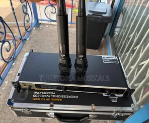 Evp Audio Ewg4-2 2in1professional Wireless Microphone