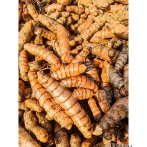 Turmeric Roots