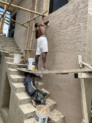 Professional Painter