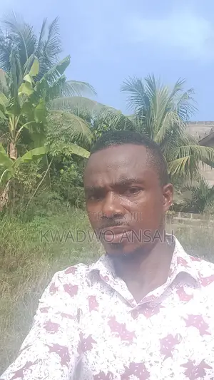 Truck Driver Delivery Yango Work and Pay