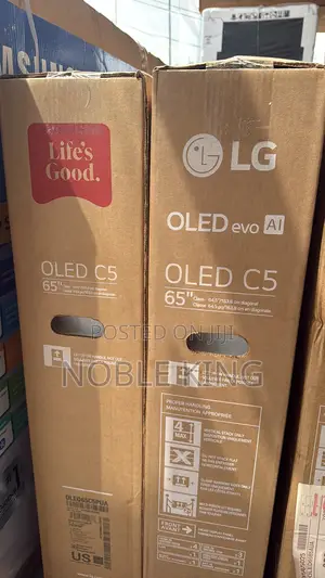 65 Inch Class Lg Oled Evo Al C5