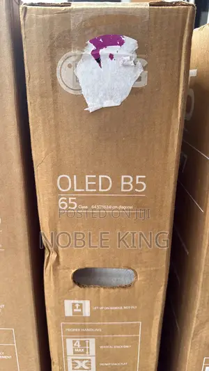 65 Inch Lg Oled Al B5 Smart Tv 2025