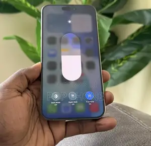 Apple iPhone 15 Pro Max 256 GB Silver