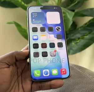 Apple iPhone 15 Pro Max 256 GB Silver