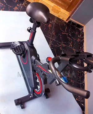 Manual Gym Bike