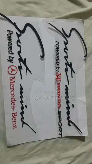 Car Uv 3d Sports Minded Stickers for Bonnet or Doors Available