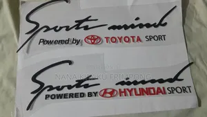 Car Uv 3d Sports Minded Stickers for Bonnet or Doors Available
