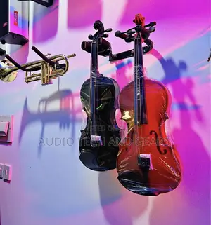 Professional 4/4 Violin