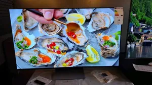 S90d 55inches Oled