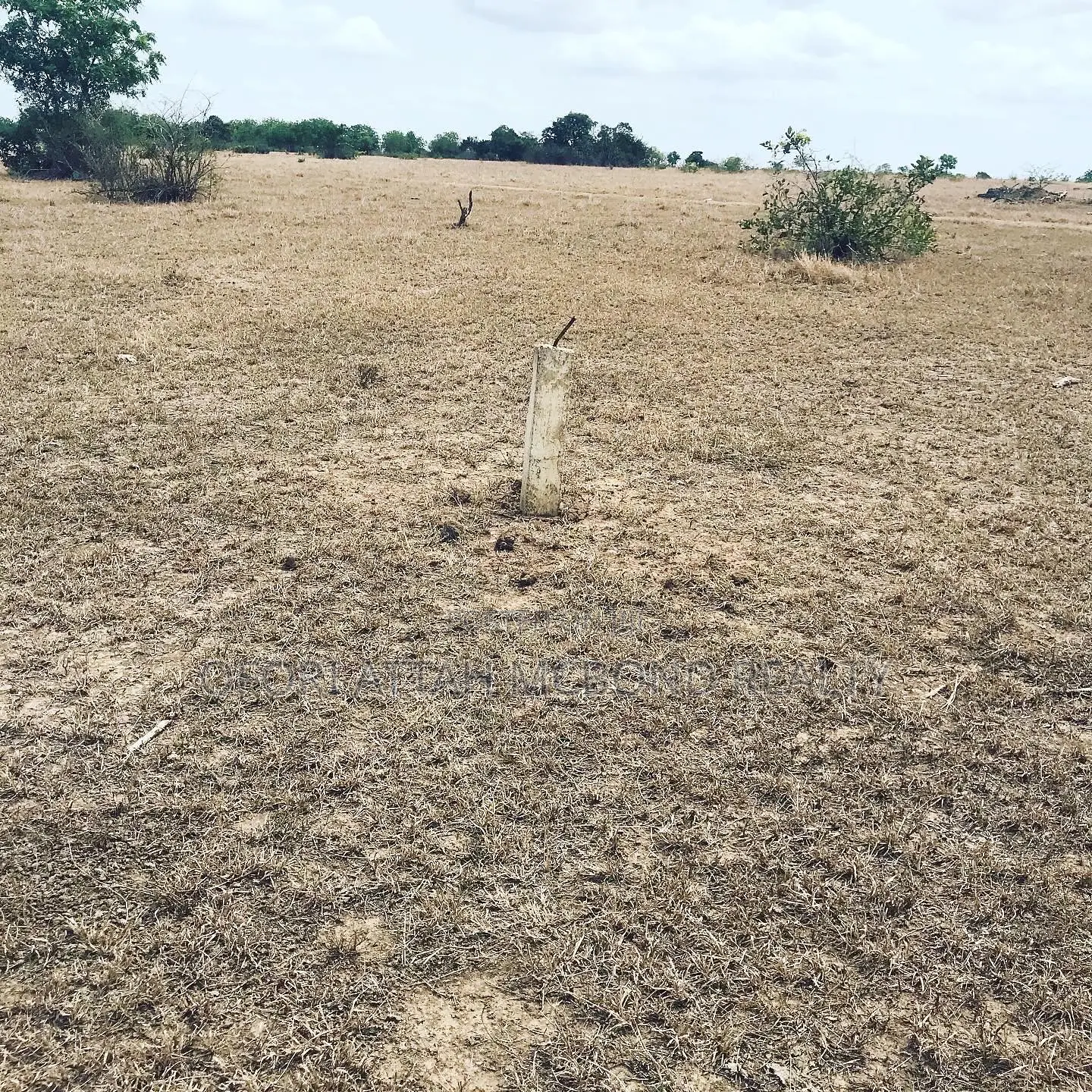 Afienya Lands for Sale ( Own Land With Peace of Mind )