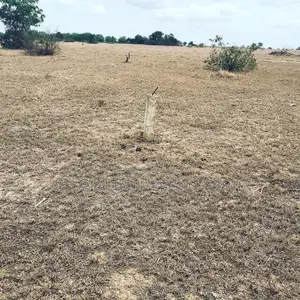 Afienya Lands for Sale ( Own Land With Peace of Mind )