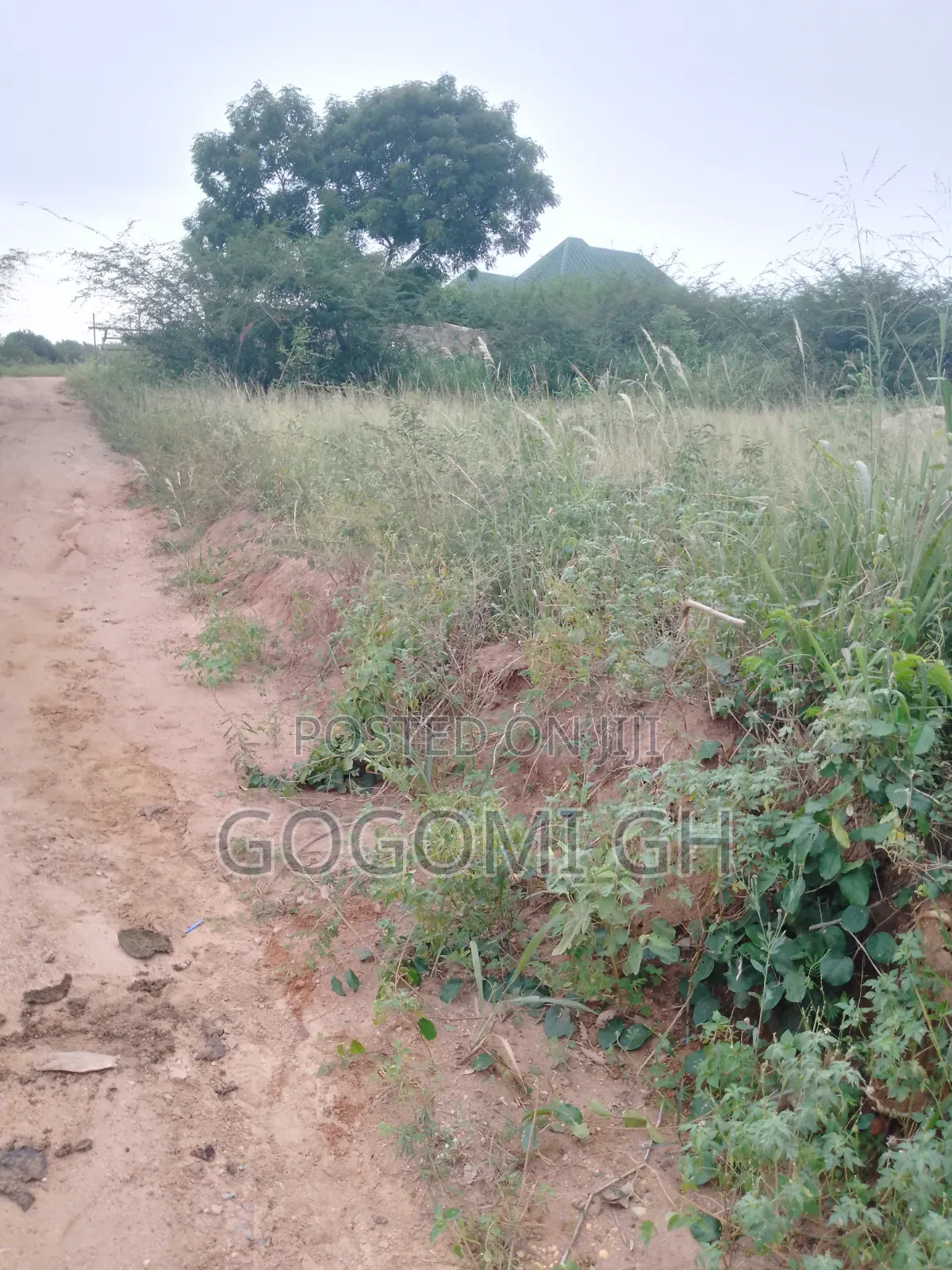 Land For Sale At Senya Breku
