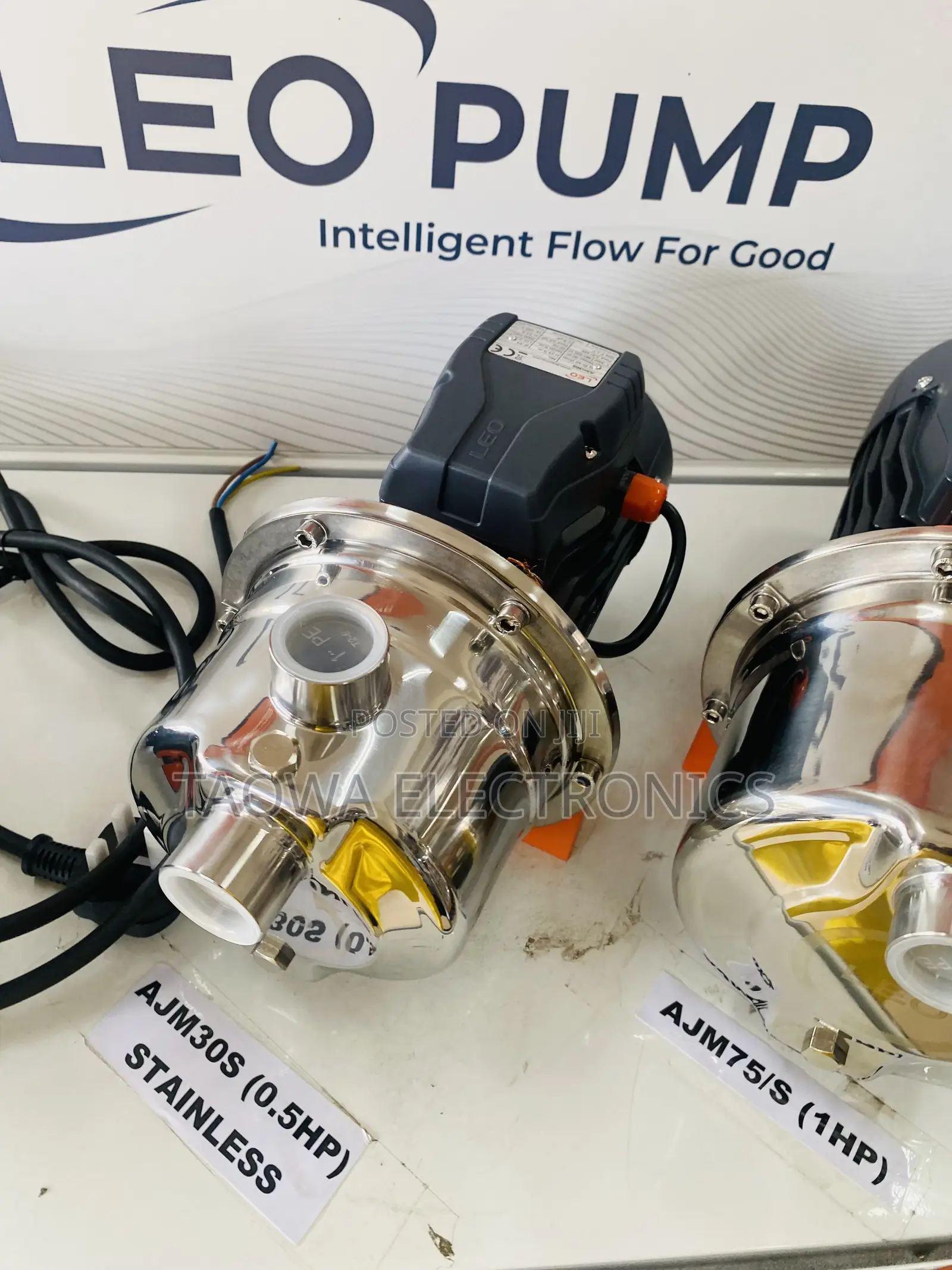 Ajm30s Leo 0.5hp Stainless Pump