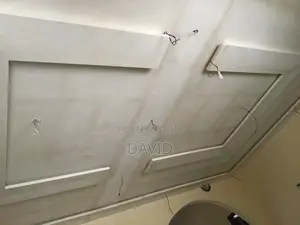 Hall Ceiling