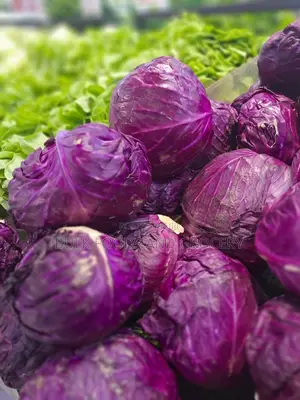 Purple Cabbage